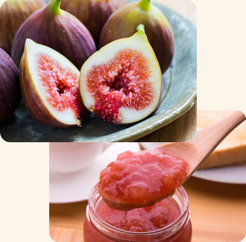 Vitaのオンラインショップ